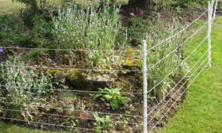 Electric Garden Fence