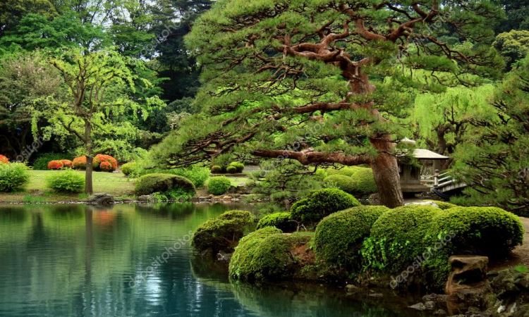 Japanese Garden Design