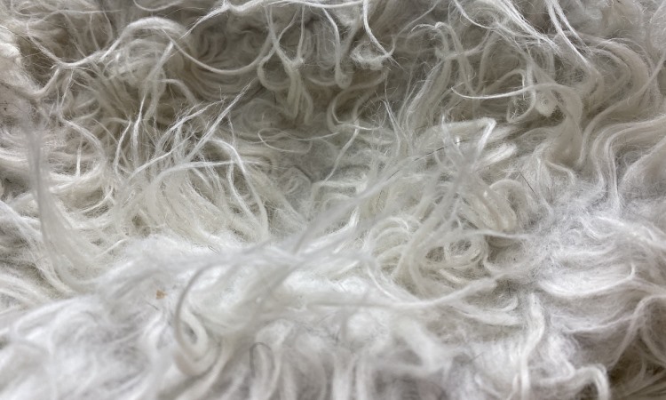 sheding carpet
